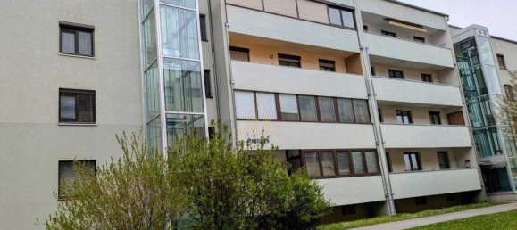 3-salle Appartement à Wels, Austria No. 133484 3