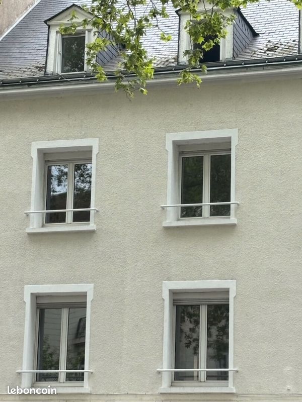 5 Schlafzimmer Doppelhaus in Tours, France, Nr. 220109