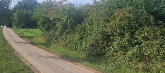 Земельный участок в Хоэнлоэ, Германия № 291590 7