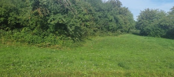 Земельный участок в Хоэнлоэ, Германия № 291590 14