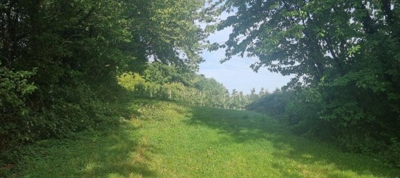 Земельный участок в Хоэнлоэ, Германия № 291590 11