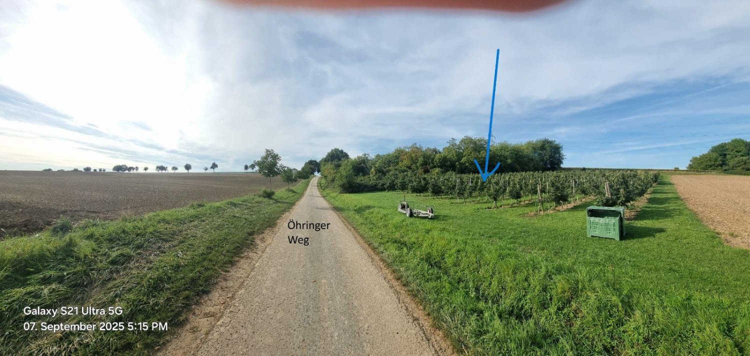 Земельный участок в Хоэнлоэ, Германия № 291590