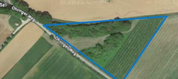 Земельный участок в Хоэнлоэ, Германия № 291590 4