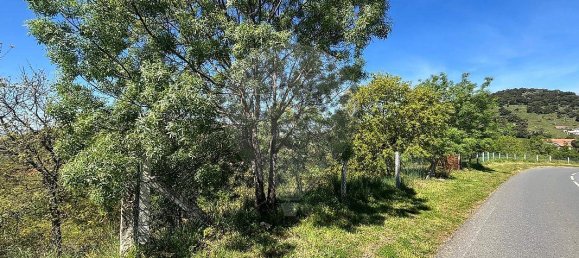3 Schlafzimmer Haus in Sezulfe, Portugal, Nr. 40562 32