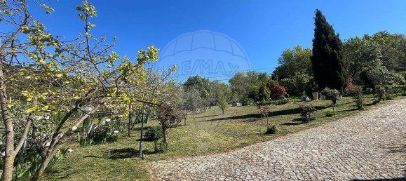 3 Schlafzimmer Haus in Sezulfe, Portugal, Nr. 40562 4