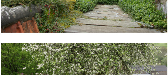 Granja de 5 dormitorios en Euskirchen, Germany No. 130380 10