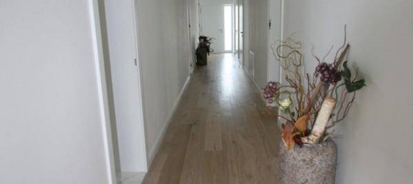 4 chambres Bungalow à Ebenfurth, Austria No. 246003 2