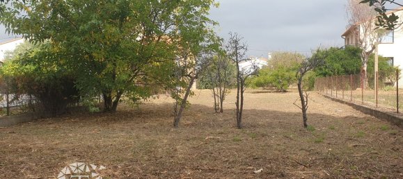 543m² Land in Sorede, France No. 336039 5