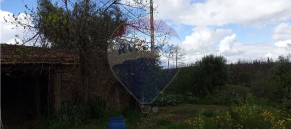 3 bedrooms House in Penacova, Portugal No. 34277 7