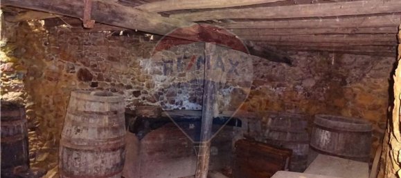 3 bedrooms House in Penacova, Portugal No. 34277 4