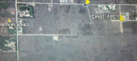 Земельный участок в Мерида, Мексика № 104627 2