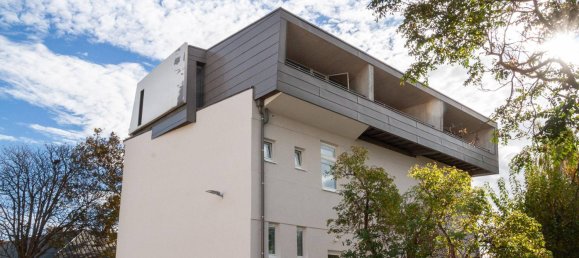 Studio in Neusiedl am See, Austria No. 24371 9