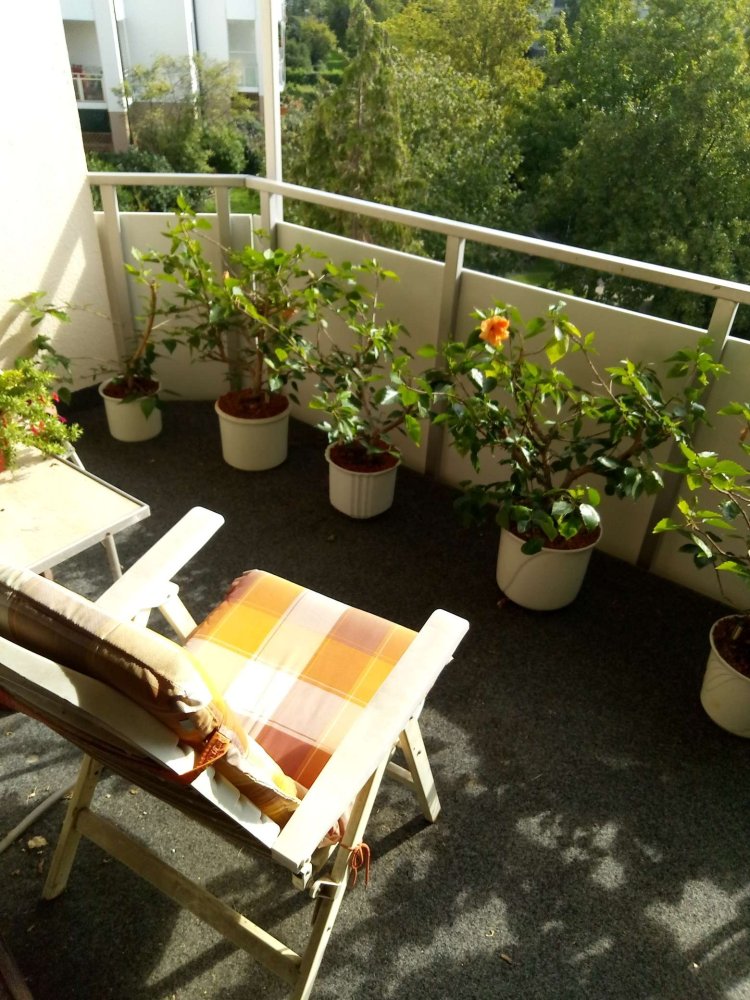 2 chambres Appartement à Leipzig, Germany No. 132697