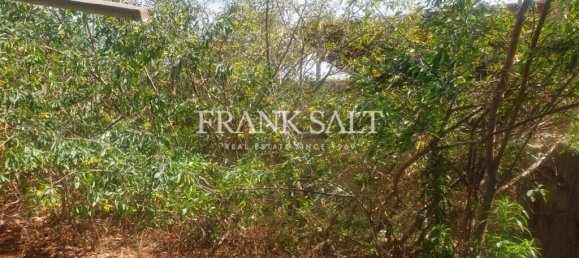 Дом с 4 спальнями в Мкабба, Мальта № 2956 6