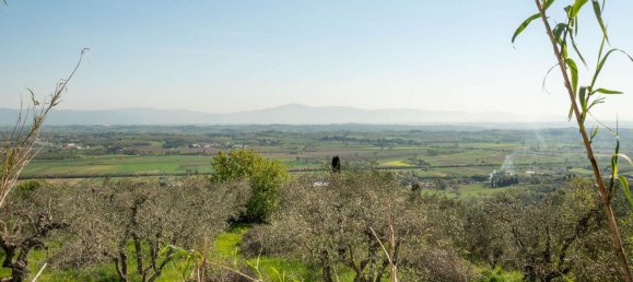 9 rooms House in Sinalunga, Italy No. 55809 17