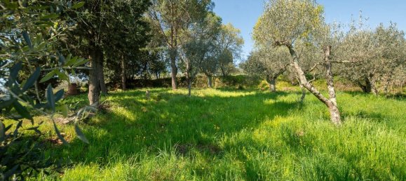 9 rooms House in Sinalunga, Italy No. 55809 21