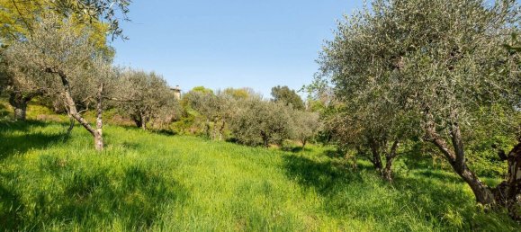 9 rooms House in Sinalunga, Italy No. 55809 20