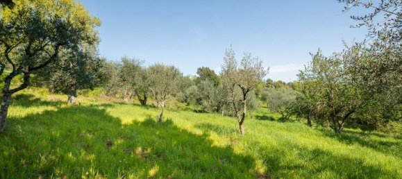 9 rooms House in Sinalunga, Italy No. 55809 22