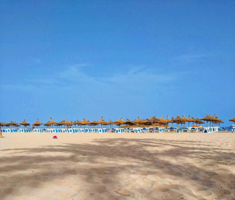 4 bedrooms Apartment in Llucmajor, Spain No. 14155