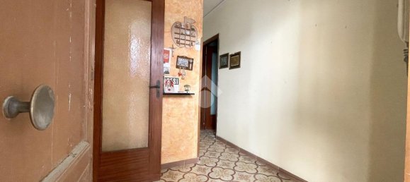 3 rooms Apartment in Palermo, Italy No. 137272 5