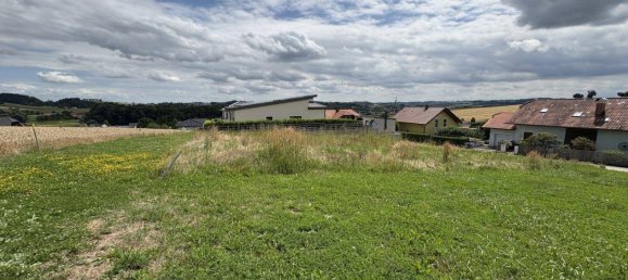 889m² Land in Tollet, Austria No. 203321 3