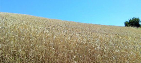 Hotel em Chalkidiki, Greece 13115 m² N.º 6242 3