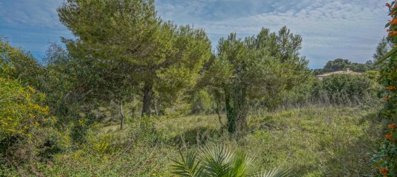 3 bedrooms Villa in Benitachell, Spain No. 8245 22