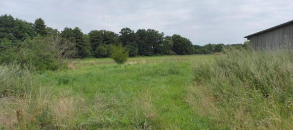 3 غرف نوم تاون هاوس في Wittenberg, Germany رقم 314541 10