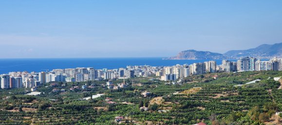 Penthouse 3+1 in Kargicak, Turkey No. 27827 25