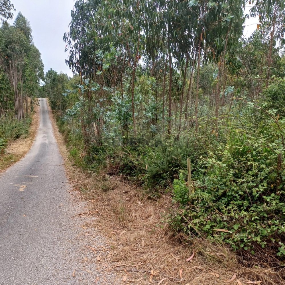  قطعة أرض في Caldas da Rainha, Portugal رقم 237039