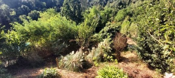 7غرفة منزل في Pavarolo, Italy رقم 229998 27