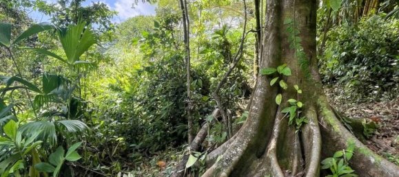 terreno en venta en Savegre, Quepos, Puntarenas, Costa Rica № 2040 5