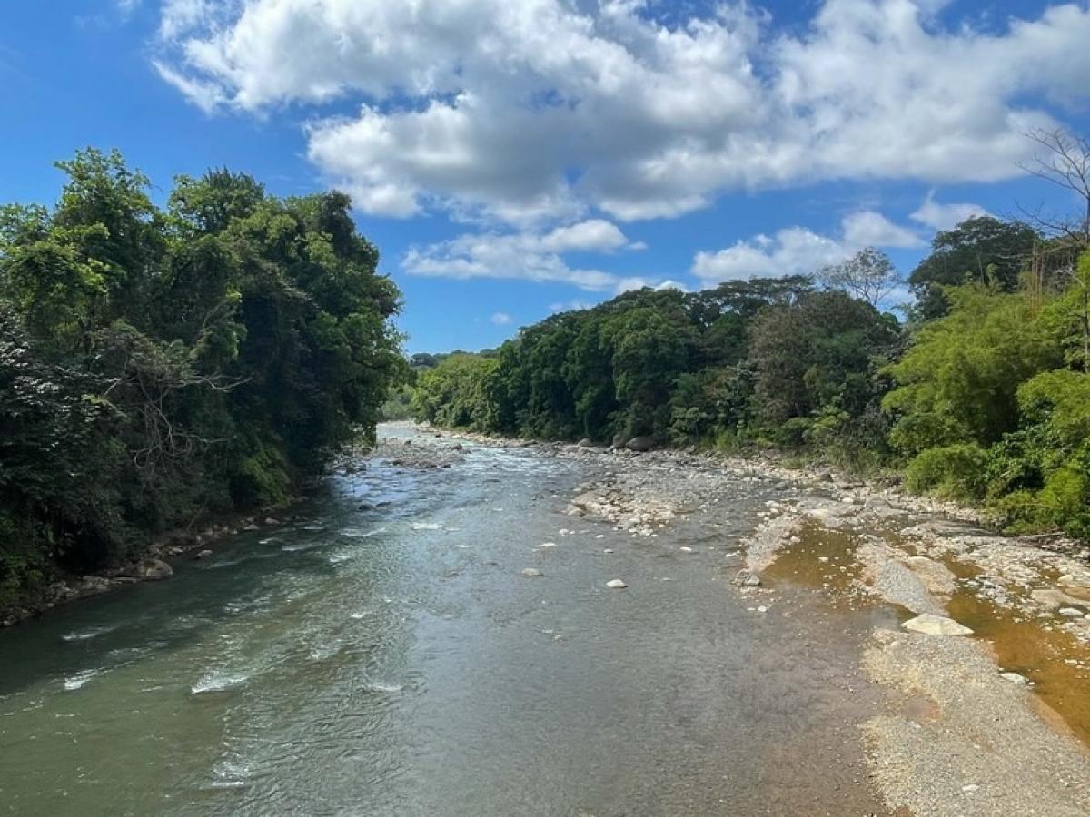 terreno en venta en Savegre, Quepos, Puntarenas, Costa Rica № 2040