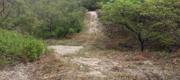 Земельный участок в Багасес, Коста-Рика № 1638 3