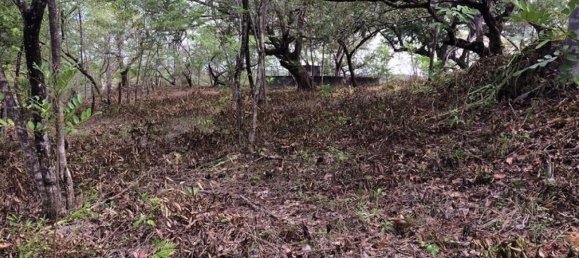 Земельный участок в Багасес, Коста-Рика № 1638 5