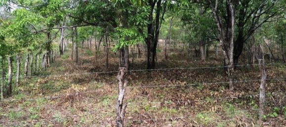 Земельный участок в Багасес, Коста-Рика № 1638 6