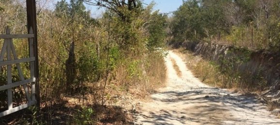 Земельный участок в Багасес, Коста-Рика № 1638 2