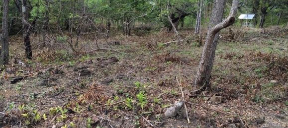 Земельный участок в Багасес, Коста-Рика № 1638 4