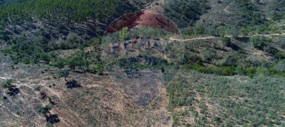 3 Schlafzimmer Haus in Santa Clara a Velha, Portugal, Nr. 42716 9