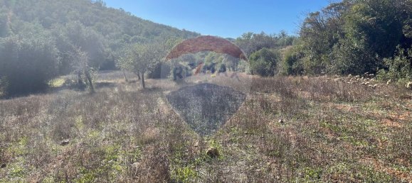 3 Schlafzimmer Haus in Santa Clara a Velha, Portugal, Nr. 42716 25