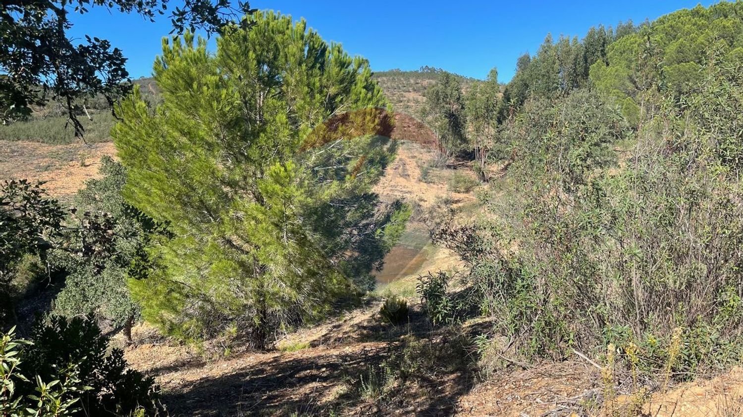 3 Schlafzimmer Haus in Santa Clara a Velha, Portugal, Nr. 42716