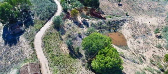 3 Schlafzimmer Haus in Santa Clara a Velha, Portugal, Nr. 42716 12