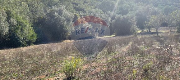 3 Schlafzimmer Haus in Santa Clara a Velha, Portugal, Nr. 42716 24