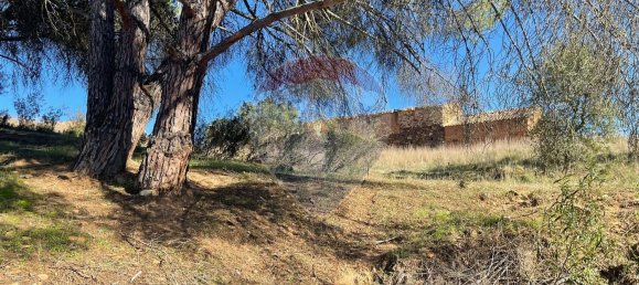 3 Schlafzimmer Haus in Santa Clara a Velha, Portugal, Nr. 42716 22