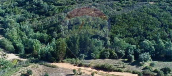 3 Schlafzimmer Haus in Santa Clara a Velha, Portugal, Nr. 42716 2