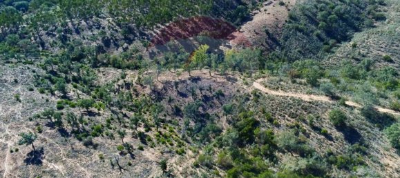 3 Schlafzimmer Haus in Santa Clara a Velha, Portugal, Nr. 42716 7