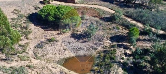 3 Schlafzimmer Haus in Santa Clara a Velha, Portugal, Nr. 42716 6