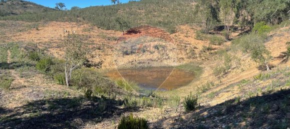 3 Schlafzimmer Haus in Santa Clara a Velha, Portugal, Nr. 42716 20