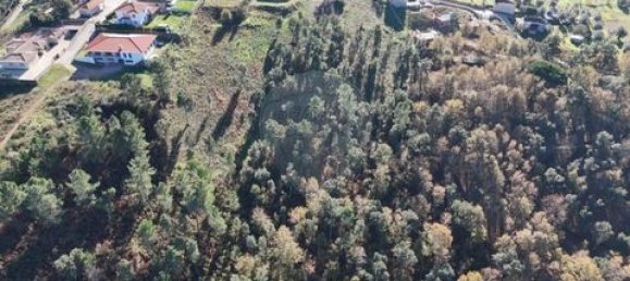  Land in Cabeceiras de Basto, Portugal No. 190067 4