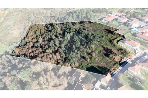  Land in Cabeceiras de Basto, Portugal No. 190067